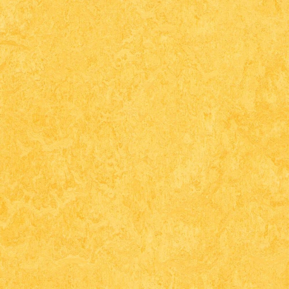 Forbo Marmoleum Click - Lemon Zest 333251 | Klick-Linoleum