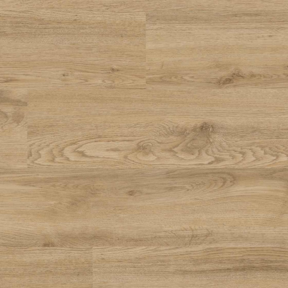 Project Floors - PW 3240/55 | floors@work | Klebe-Vinylboden