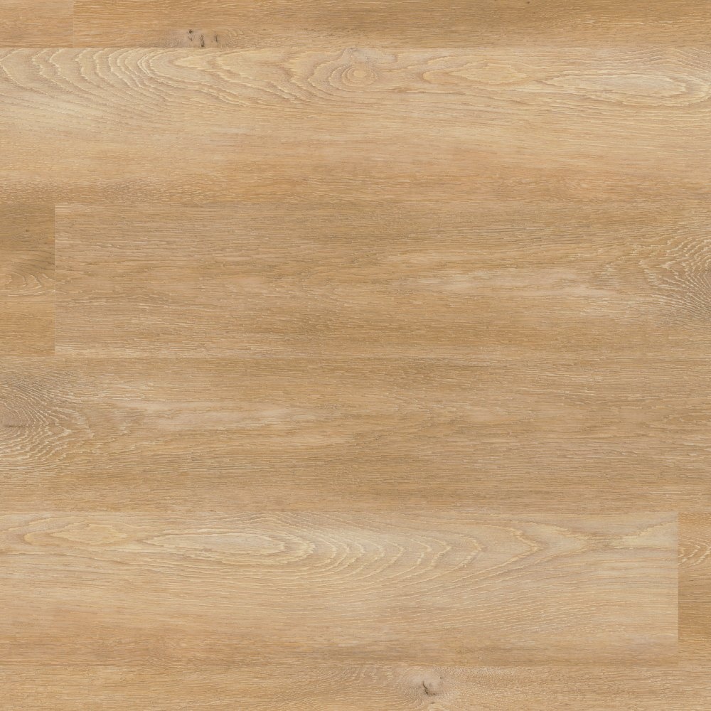 Project Floors ECO+ Collection - Eco 1250/30 | Klebe-Bioviny