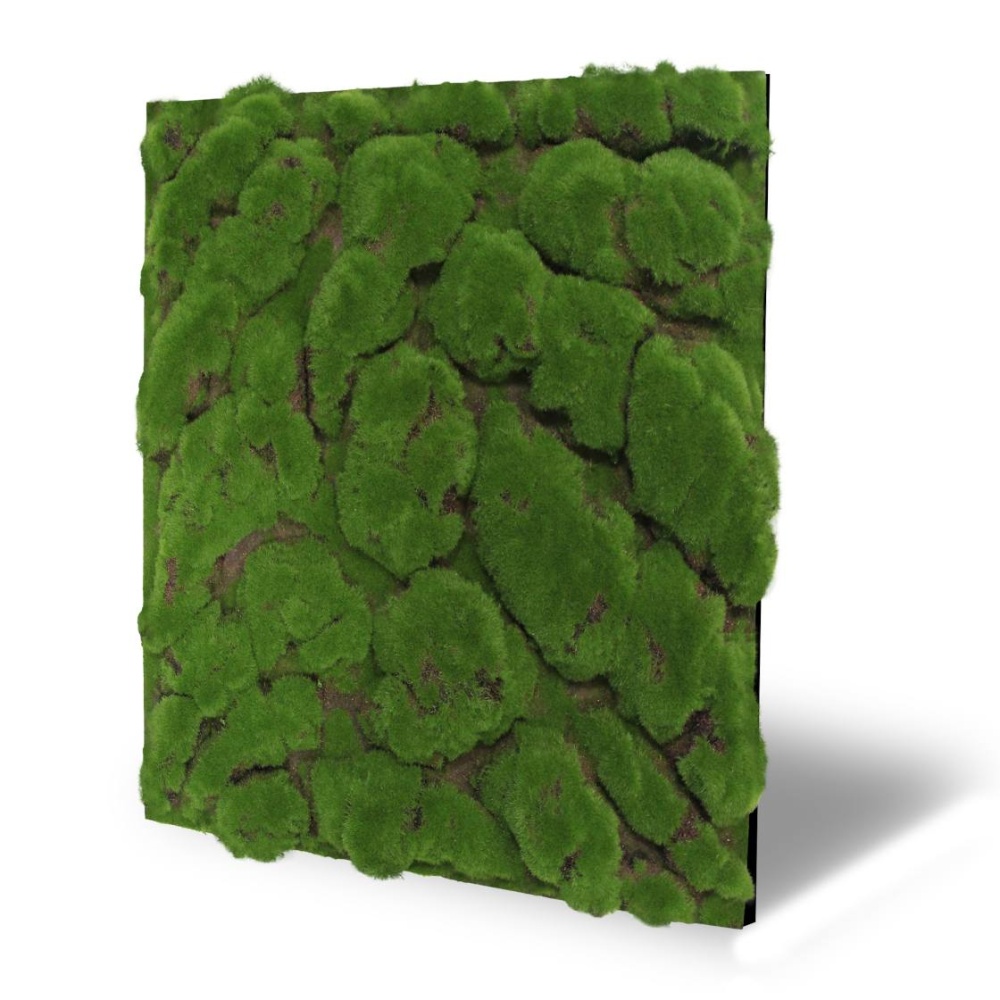 Skando Wall - Moos waldgrün urig | Designmoos-Wandpanee