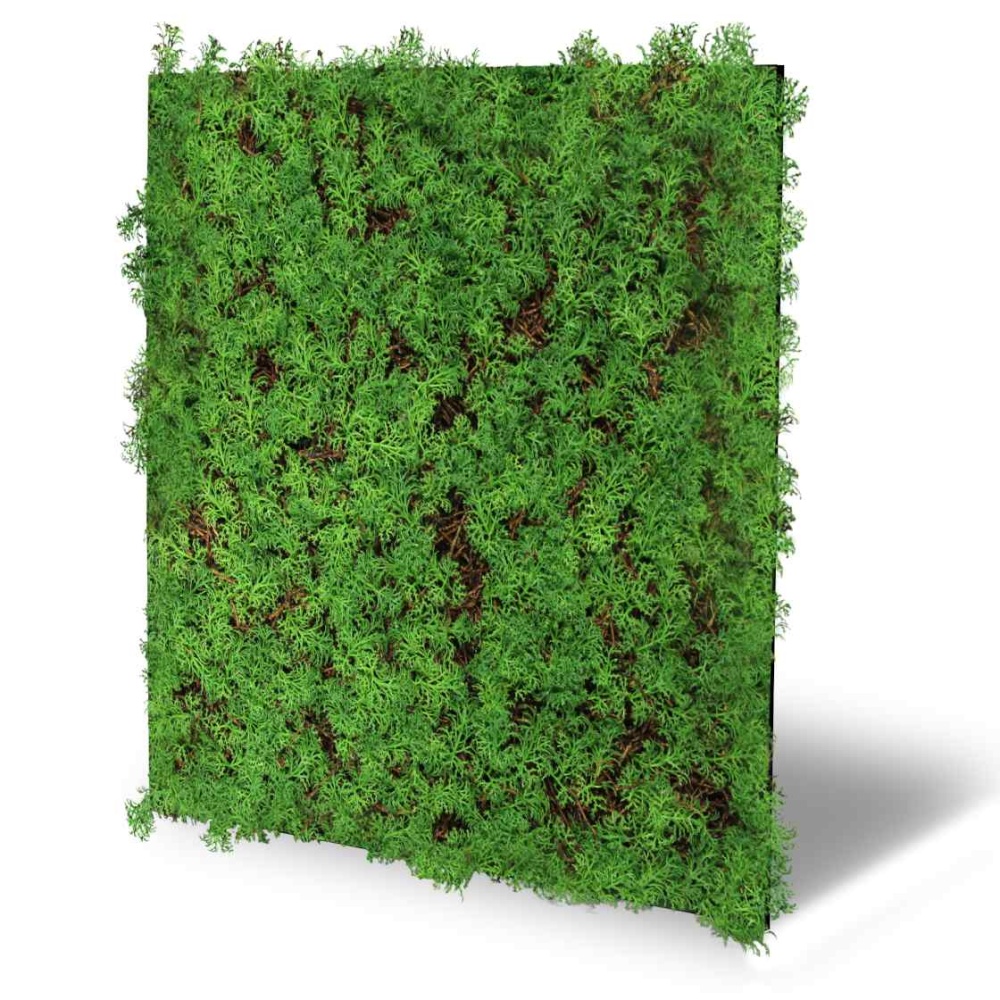 Skando Wall - Flora thujengrün | Natur-Wandpaneel