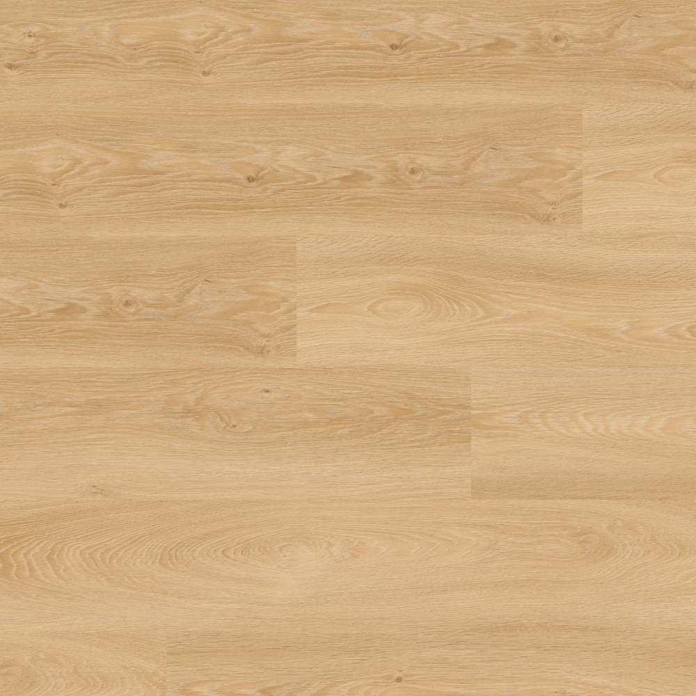 Tarkett Essence 55 - Cool Oak Classical 260053001 | Klebe-Vi