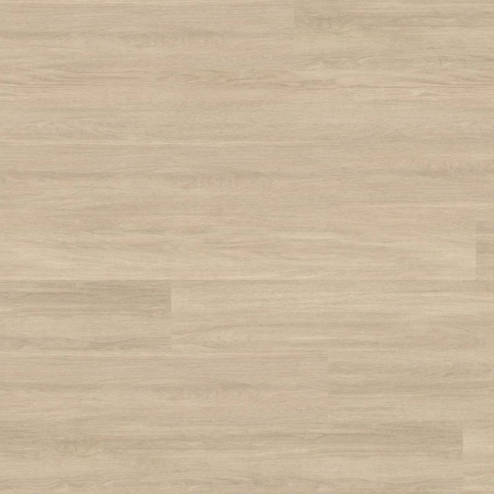 Wineo 1500 wood XL - Mayfield Oak Beige PL15211WXL | BioBode