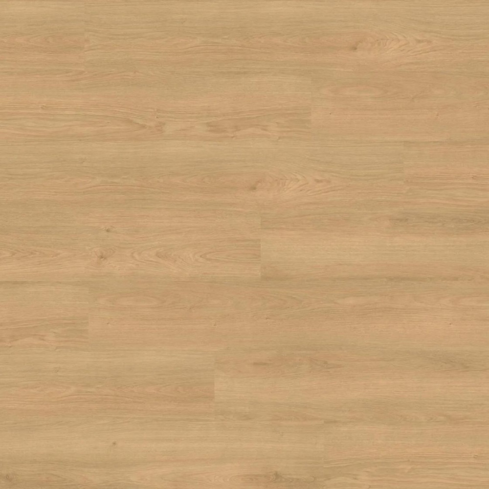 Wineo 1500 wood XL - Siena Oak Honey PL15221WXL | BioBoden