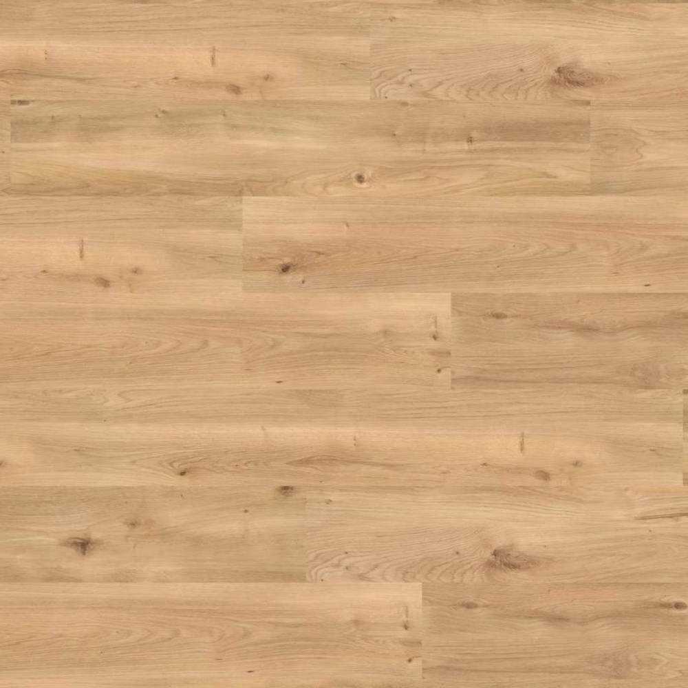 Wineo 1500 wood XL - Intensive Oak Amber PL15206WXL | BioBod
