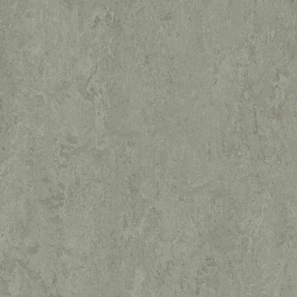 Forbo Marmoleum Modular Neutral - Cinder t3889 | Linoleum